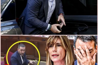 ⚖️📰 Declaraciones en sede judicial de Víctor de Aldama reavivan el debate político en España sobre contratos públicos y relaciones institucionales