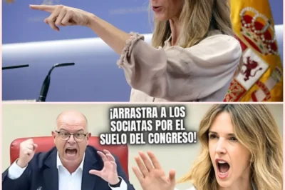 EL DESCOMUNAL REPASO DE CAYETANA AL PSOE DE SÁNCHEZ ¡QUE DESATÓ EL CABREO DEL SOCIALISTA MÁS INFAME!