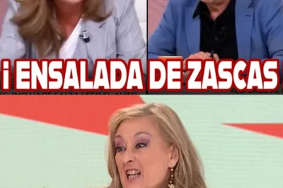 ELISA BENI ACORRALA