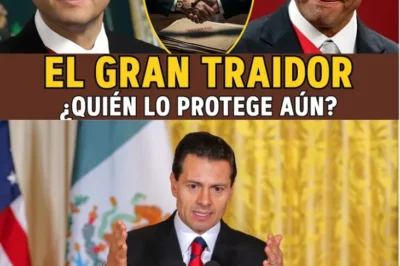 ENRIQUE PEÑA NIETO Y SU