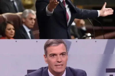 PEDRO SÁNCHEZ ANUNCIA LA