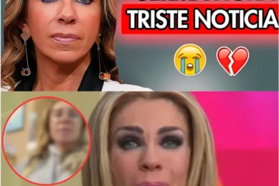 LA DOLOROSA HISTORIA DE PÉRDIDAS
