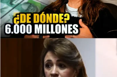 LA MAGISTRADA CRISTINA LOMBANA BAJO LA LUPA