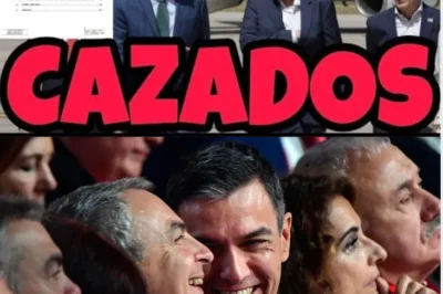LA INVESTIGACIÓN DEL CASO PLUS ULTRA