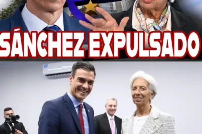 ESPAÑA PIERDE SU ASIENTO EN EL BCE