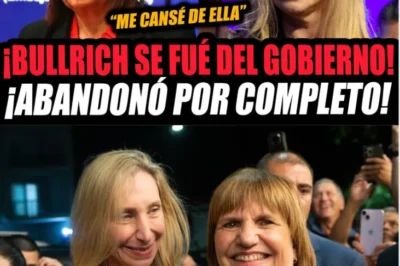 BULLRICH QUEDÓ AISLADA EN EL TE DEUM