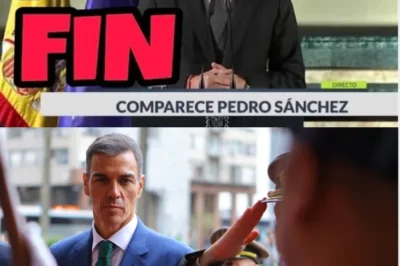LA AUDIENCIA NACIONAL INVESTIGA UNA