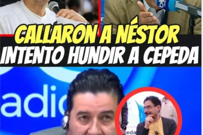 NÉSTOR MORALES QUEDA CONTRA LAS