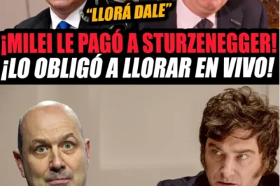 STURZENEGGER SE EMOCIONA AL HABLAR