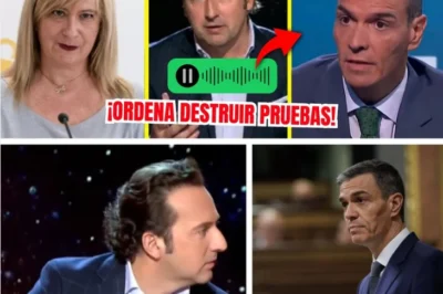 UN PROGRAMA DE INVESTIGACIÓN REAVIVA