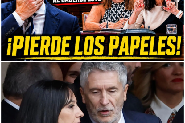 La Tensión en el Congreso: El Ministro del Interior Marlasca Frente a ...