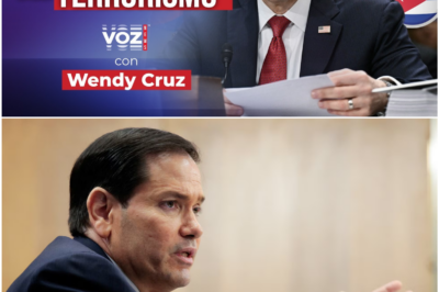 Rubio asegura que la Habana ha apoyado a grupos terroristas violentos de izquierda