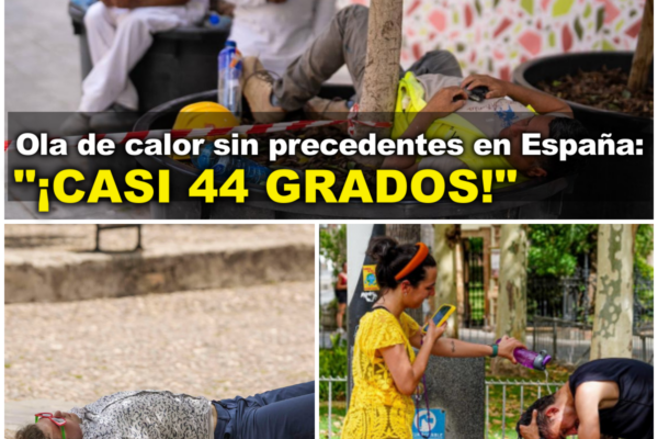 La peor ola de calor en junio desde 1950 deja récords históricos y una...