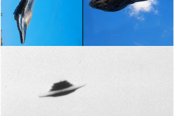 Real UFO Sightings 2026 | Shocking Unseen UFO Footage Caught on Camera