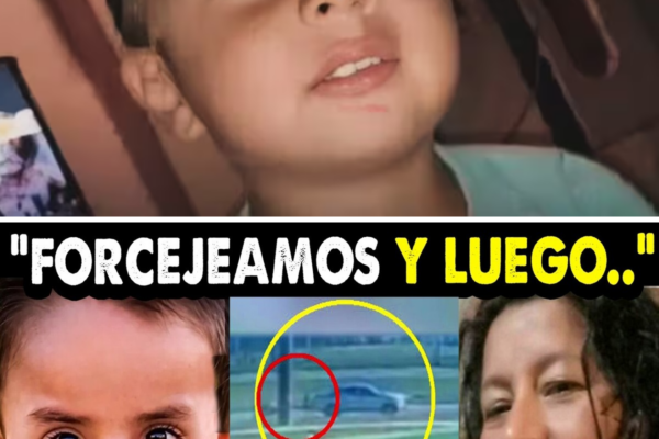 ¡UN AUDIO ATRIBUIDO A LAUDELINA DESATA UNA NUEVA POLÉMICA EN EL CASO L...