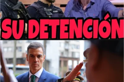 EL DEBATE SOBRE UNA POSIBLE DETENCIÓ