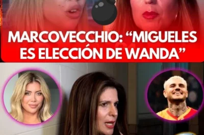 EL PROCESO JUDICIAL ENTRE WANDA NARA