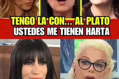 MARIXA BALLI EXPUSO SU HARTAZGO ANTE