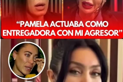 JOHANNA VILLAFAÑE EXPLOTA CONTRA PAMELA POMBO Y