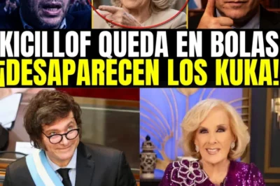 MIRTHA LEGRAND INSTALA EL DEBATE SOBRE