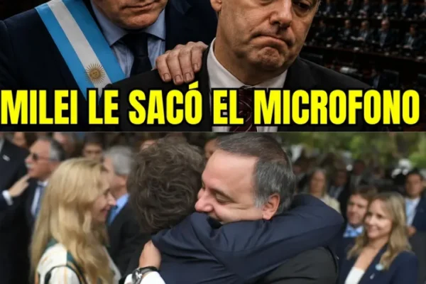 MILEI RELEVA A ADORNI DE LA VOCERÍA,