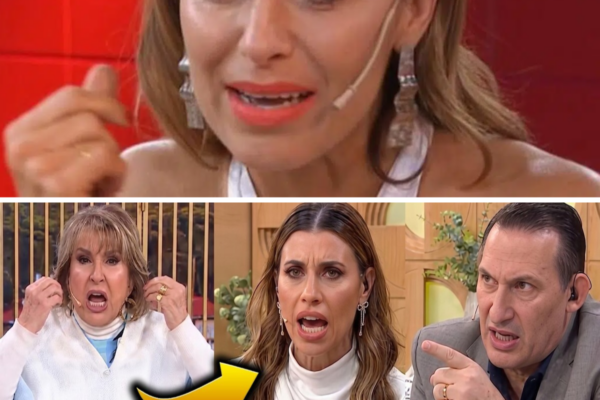 ¡ESCÁNDALO EN VIVO! CRUZARON SIN PIEDAD A MARIANA BREY, LA ACUSARON DE...