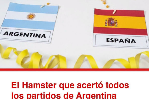 El Hamster que acertó todos los partidos de Argentina hizo su predicci...