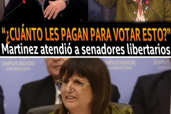 ¡MARTÍNEZ ESTALLA EN EL SENADO! Cara a cara con los libertarios y lanz...