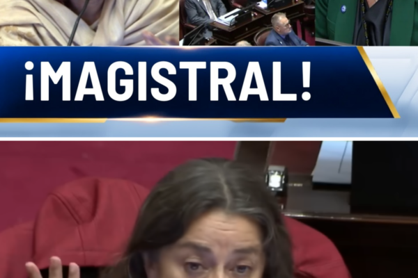 ¡SE HARTÓ Y EXPLOTÓ EN PLENO SENADO! SENADORA DE CATAMARCA ENFRENTÓ A ...