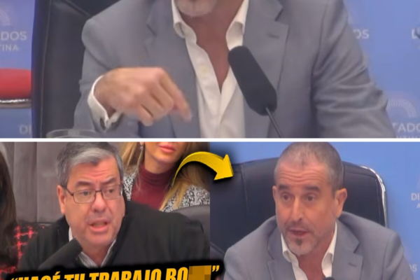 ¡SE PICÓ TODO EN EL CONGRESO! MARTÍNEZ FRENÓ A BENEGAS LYNCH EN SECO Y...